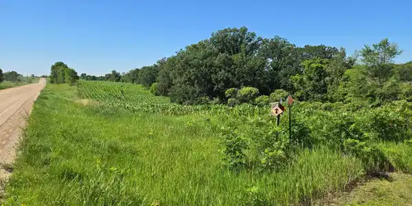 Image 4 Image 4