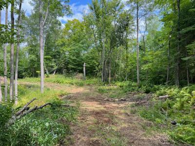 TBD Tioga Hills Rd
