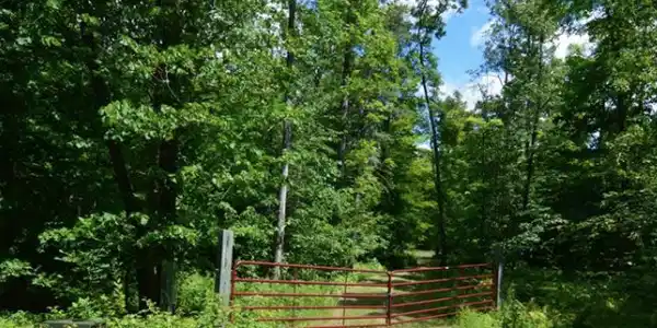 tbd 488th Lane