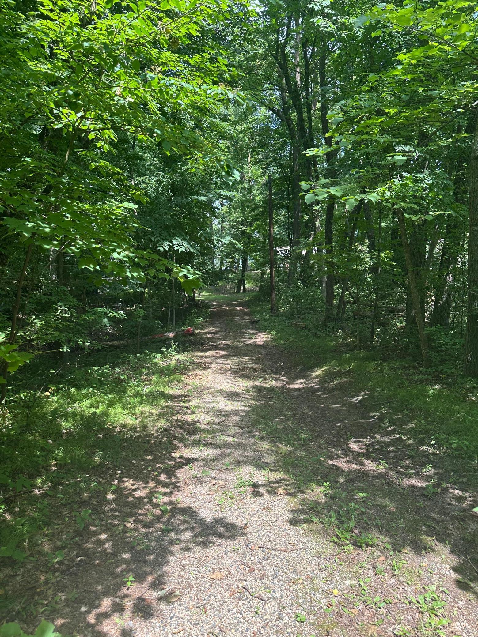 Image 3 Image 3