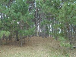 1105 Magnolia Lane Unit 12
