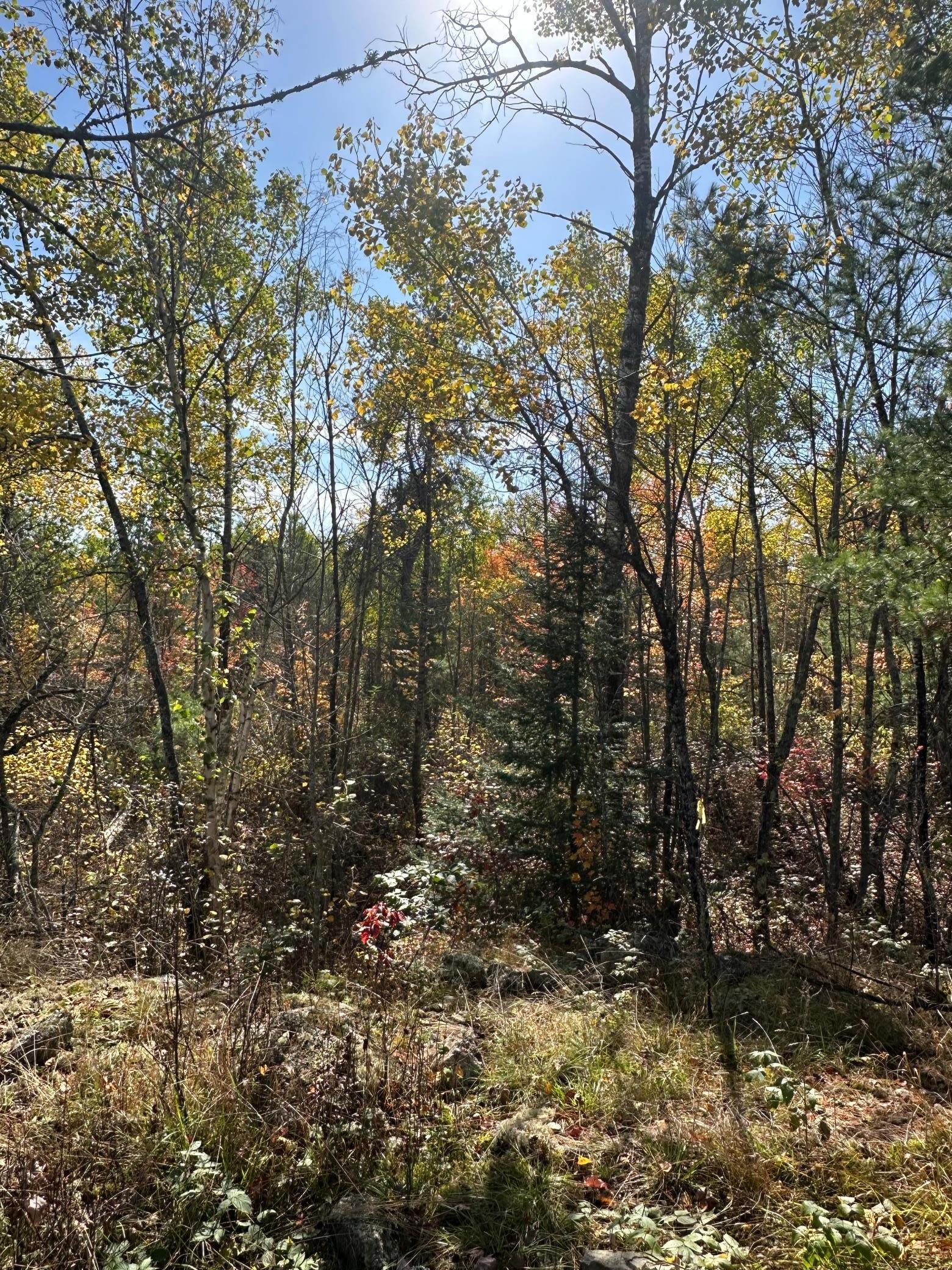Image 4 Image 4