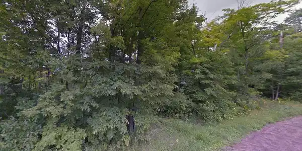 Image 2 Image 2