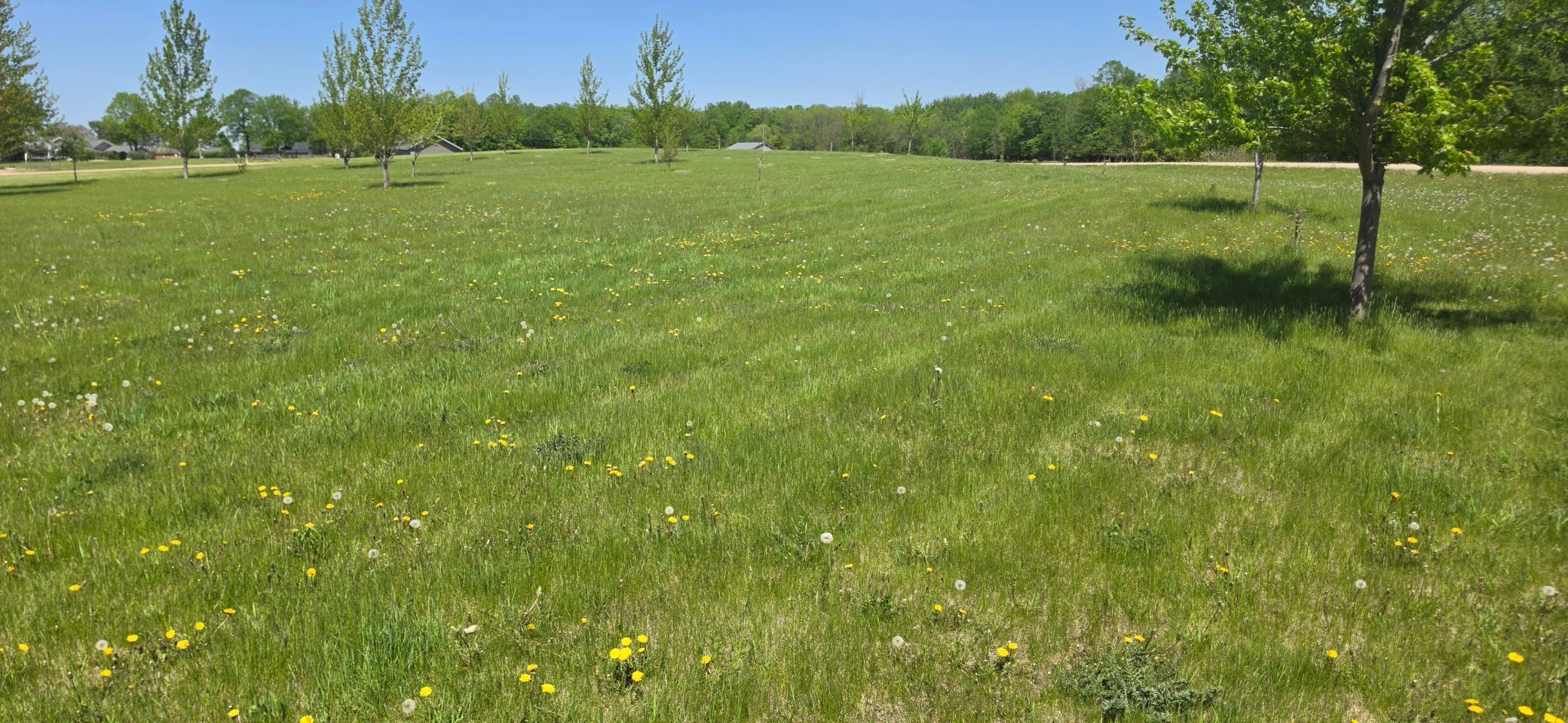 Image 4 Image 4