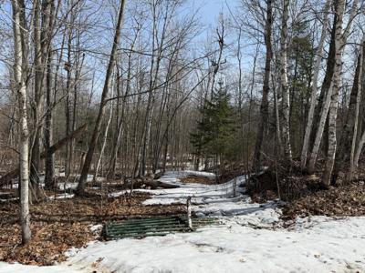 Lot 7 Block 1 Yellow Birch Ln
