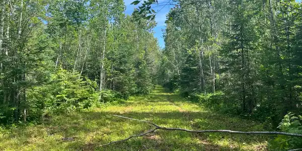 Image 3 Image 3