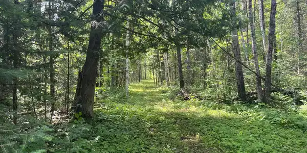 Image 4 Image 4