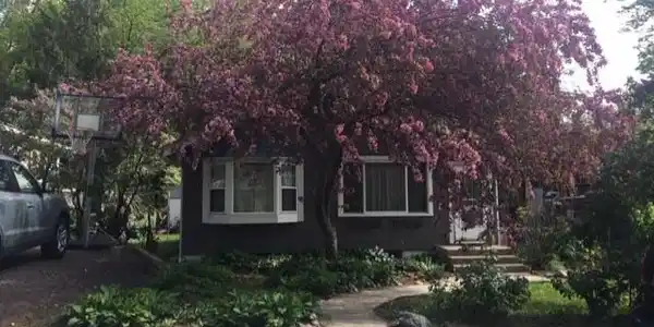 36 Grove Street