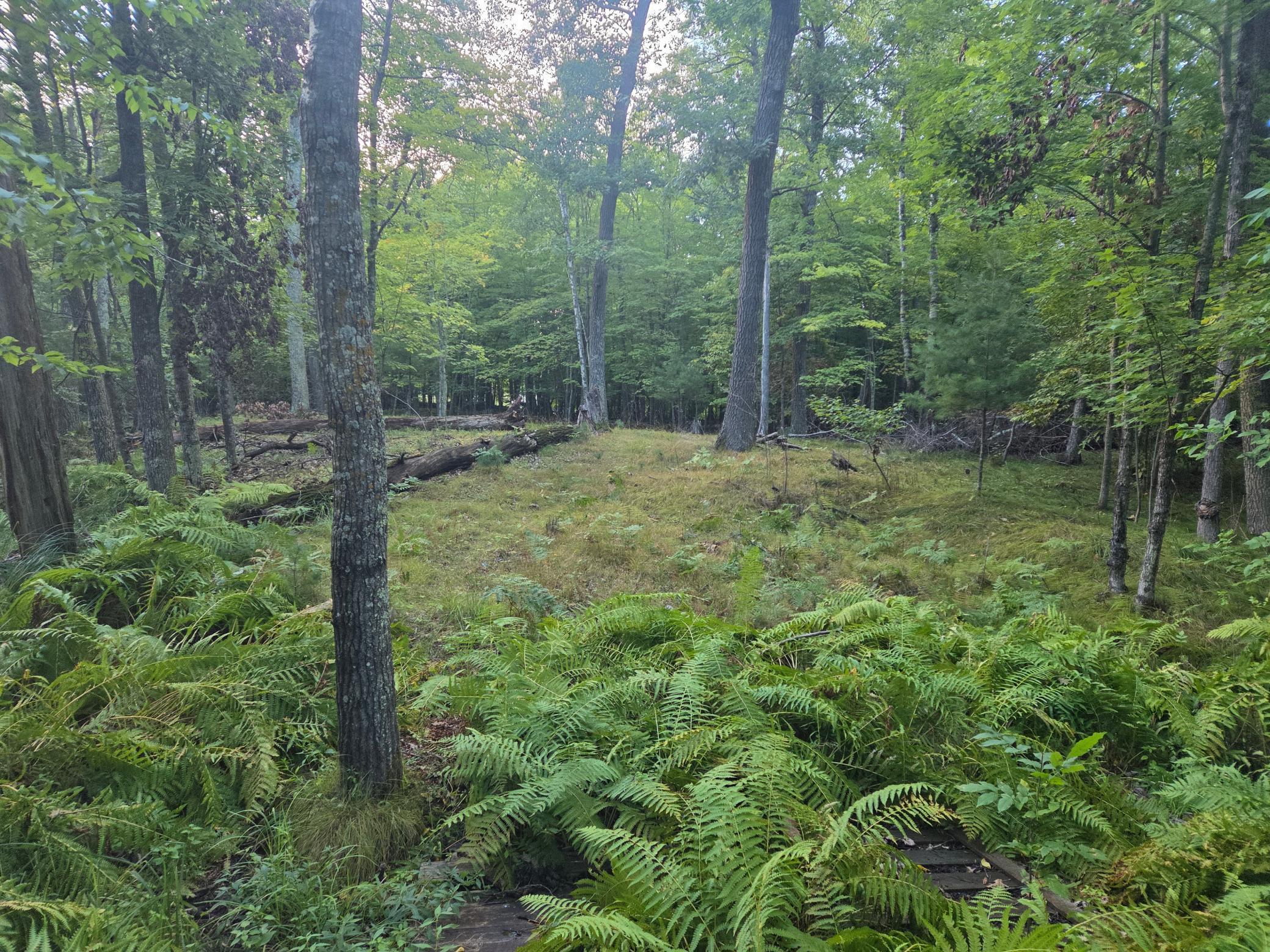 Image 4 Image 4