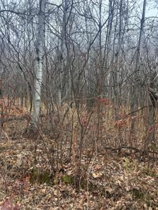 TBDxx Golf Course Dr