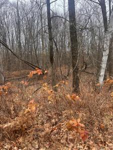 TBDxxx Golf Course Dr