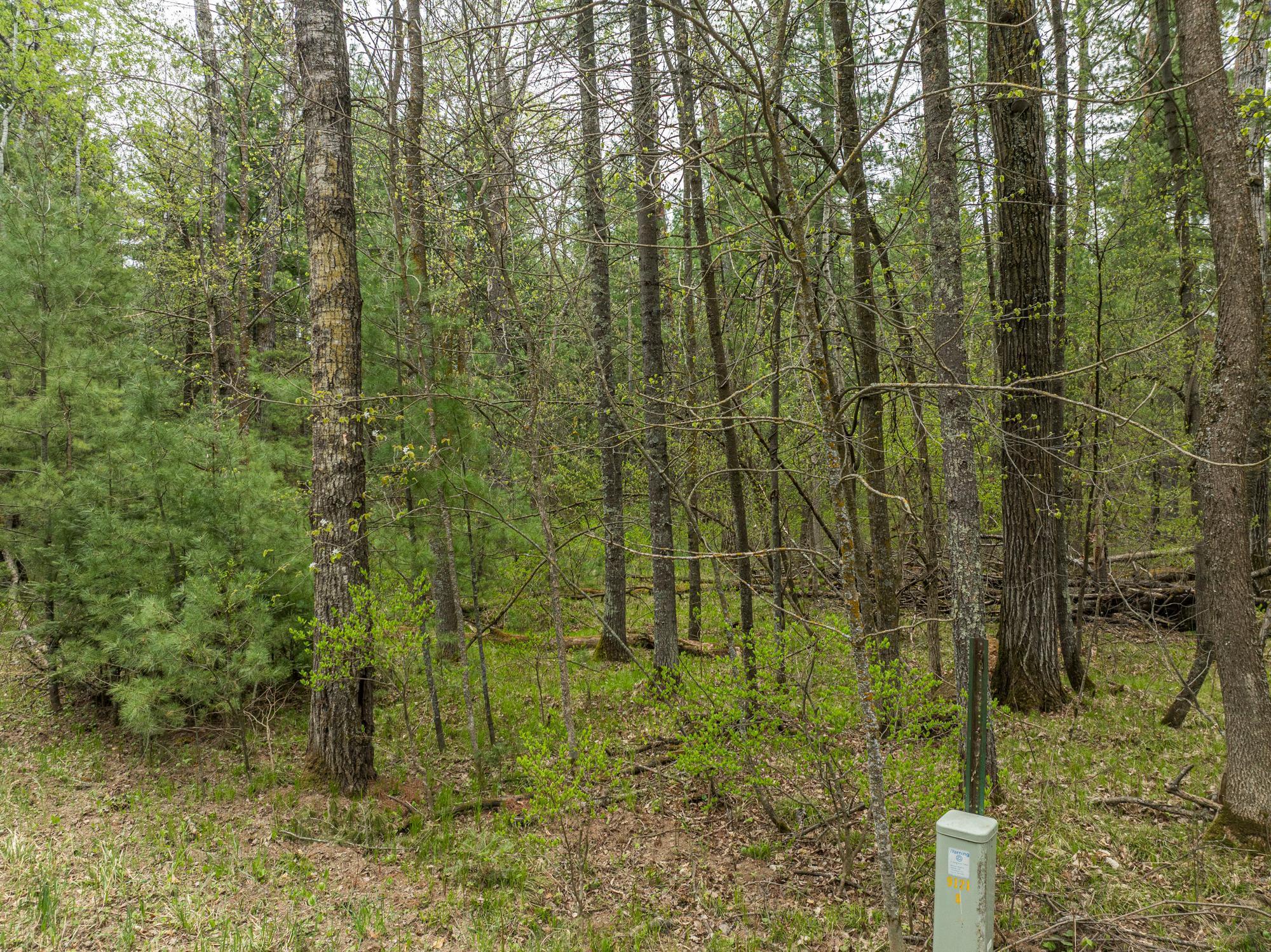 Image 4 Image 4