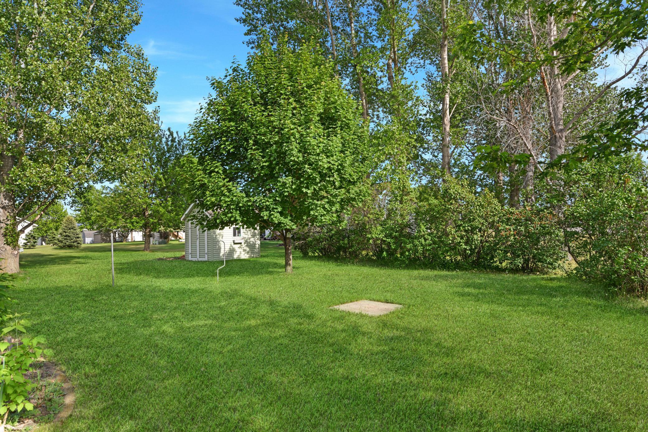 Image 4 Image 4