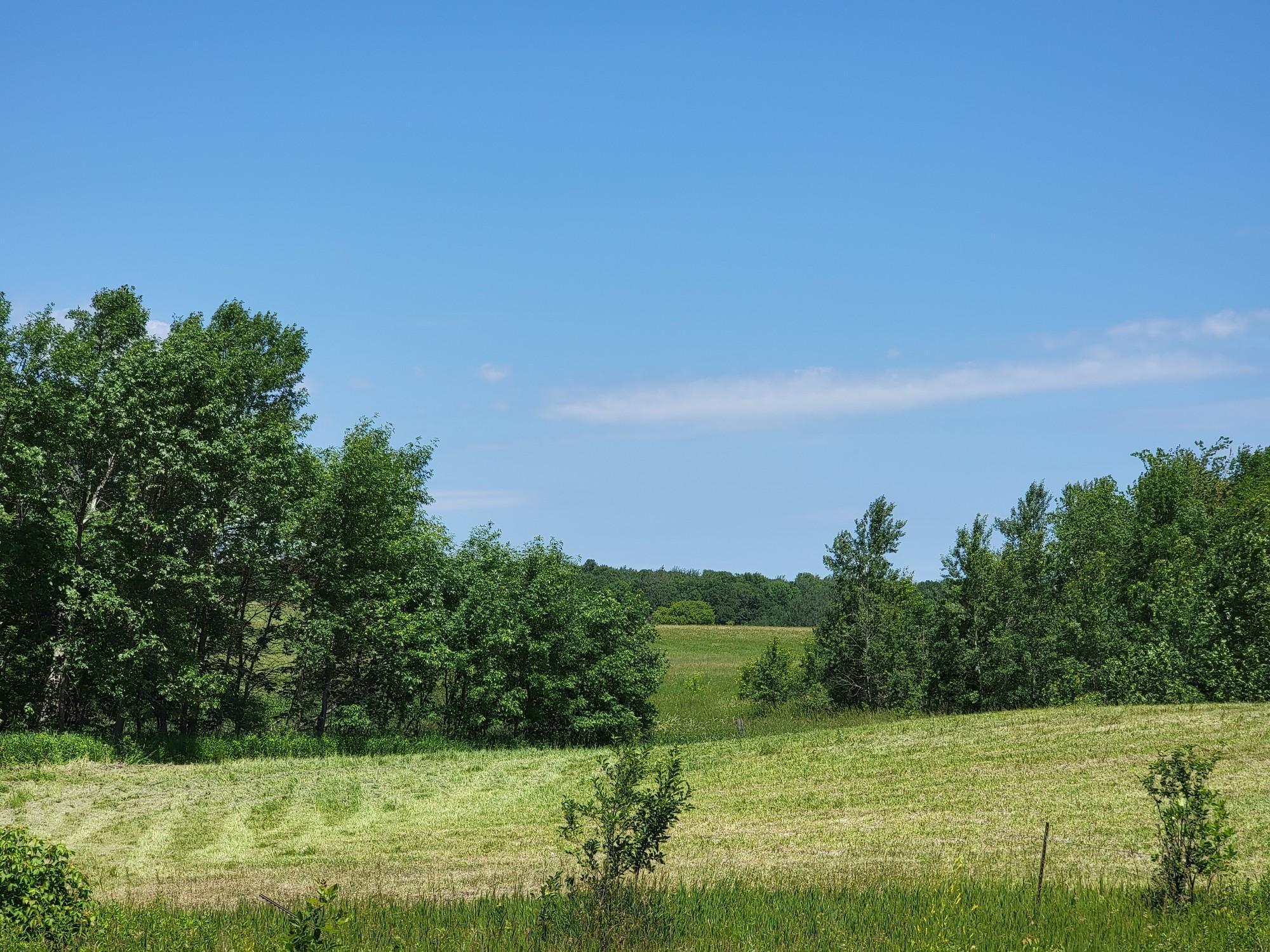 Image 4 Image 4