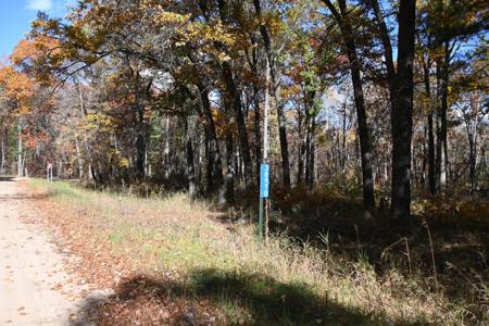 38970 Odin Court