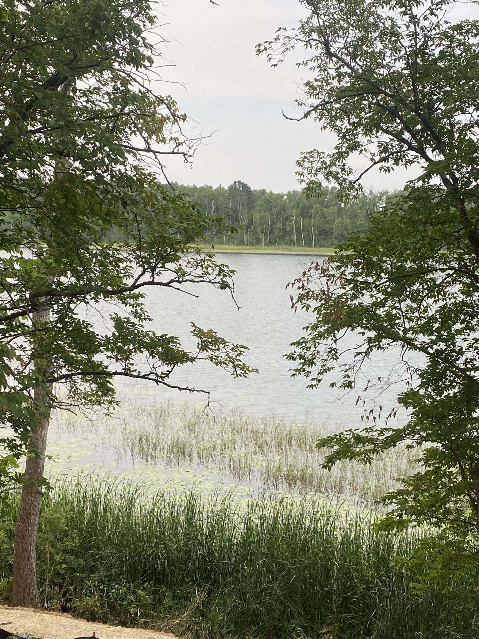 Image 1 Image 1