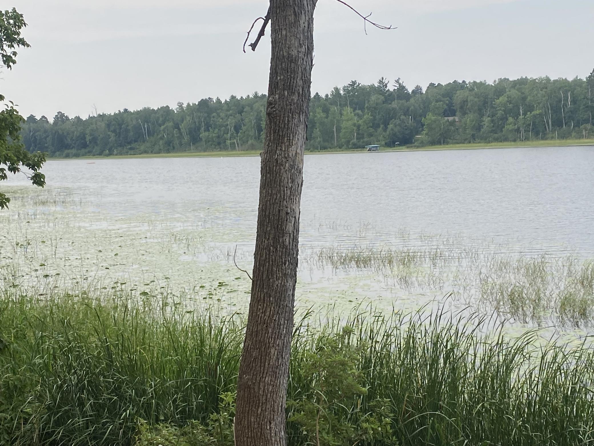 Image 4 Image 4