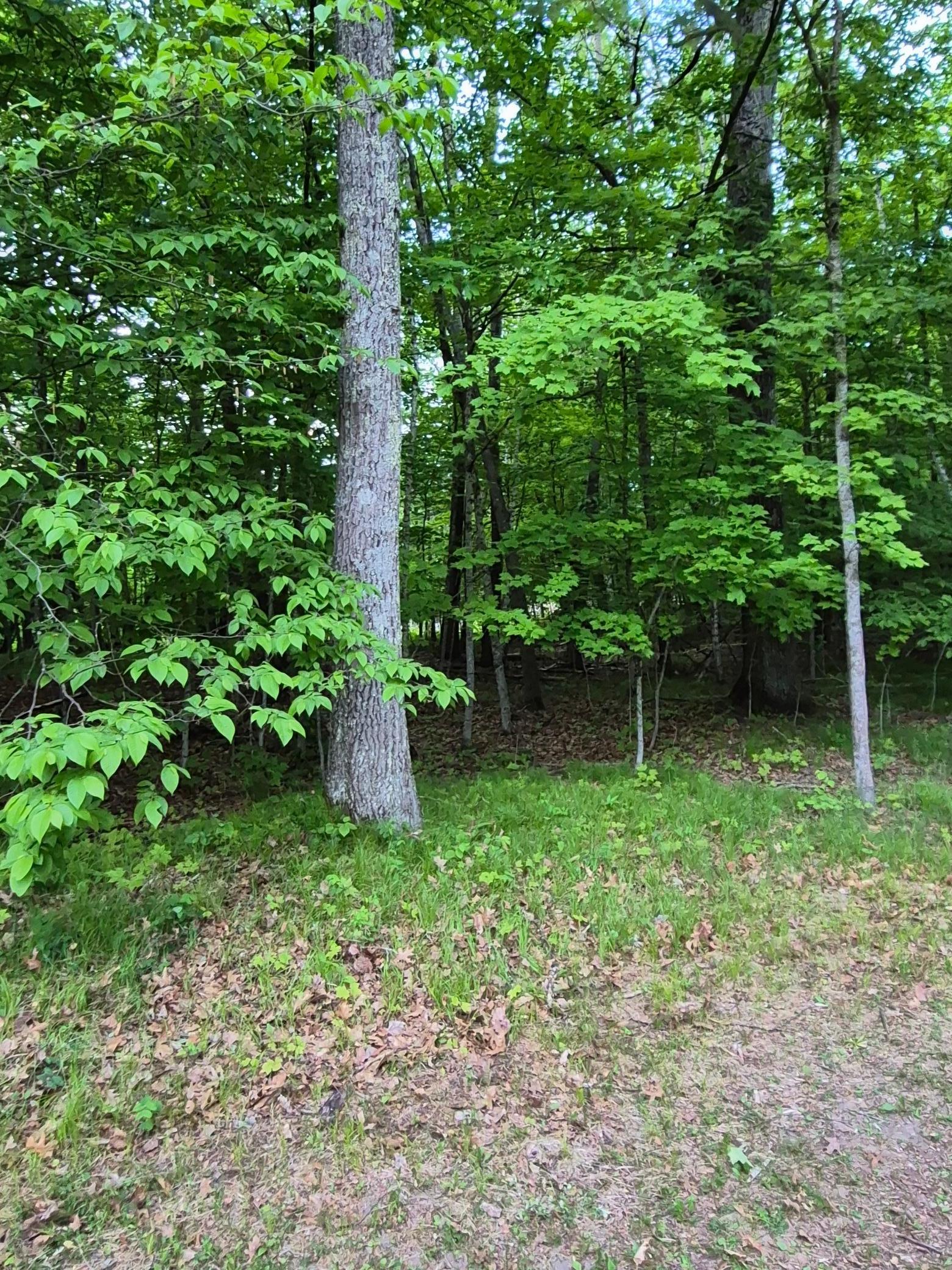 Image 2 Image 2