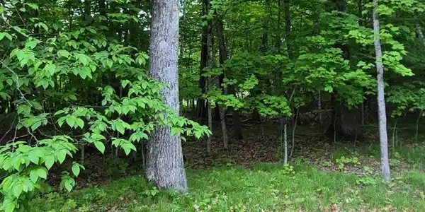 Image 2 Image 2