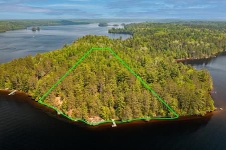 95814 Pine Island