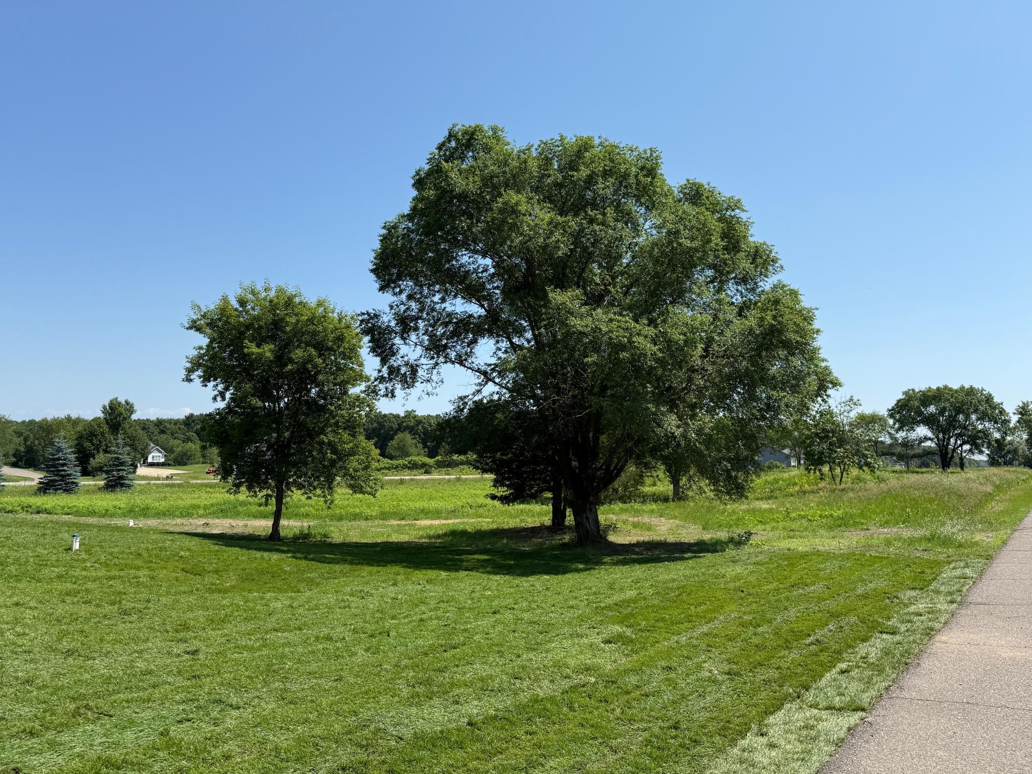 Image 4 Image 4