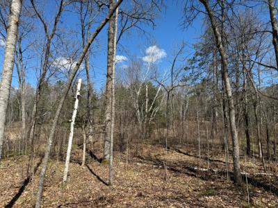 Lot 7 Block 1 Yellow Birch Ln