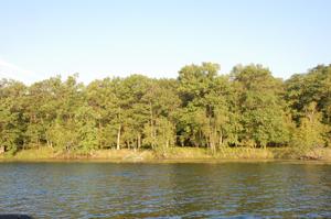 TBD Lot B Eaglewood Dr