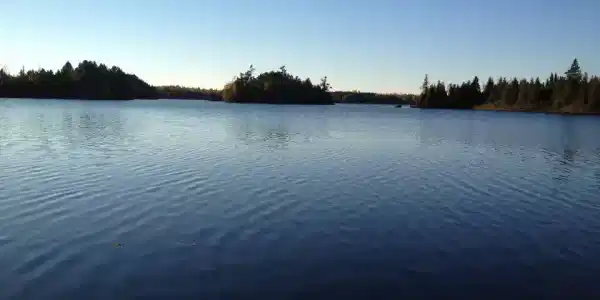 446 Stewart Lake Road