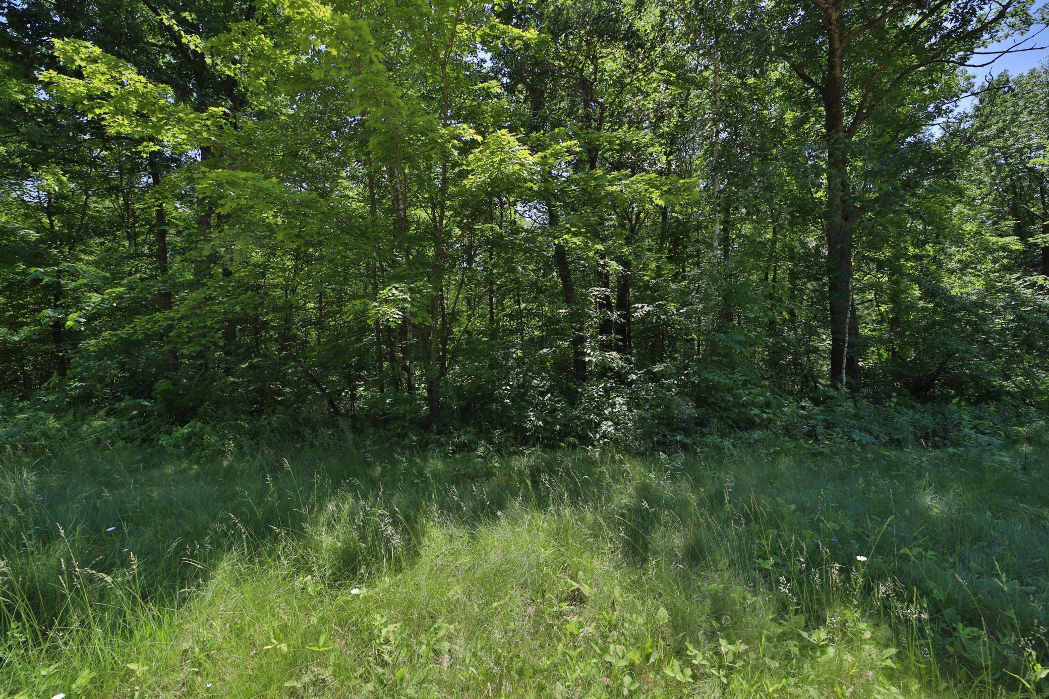 Image 3 Image 3
