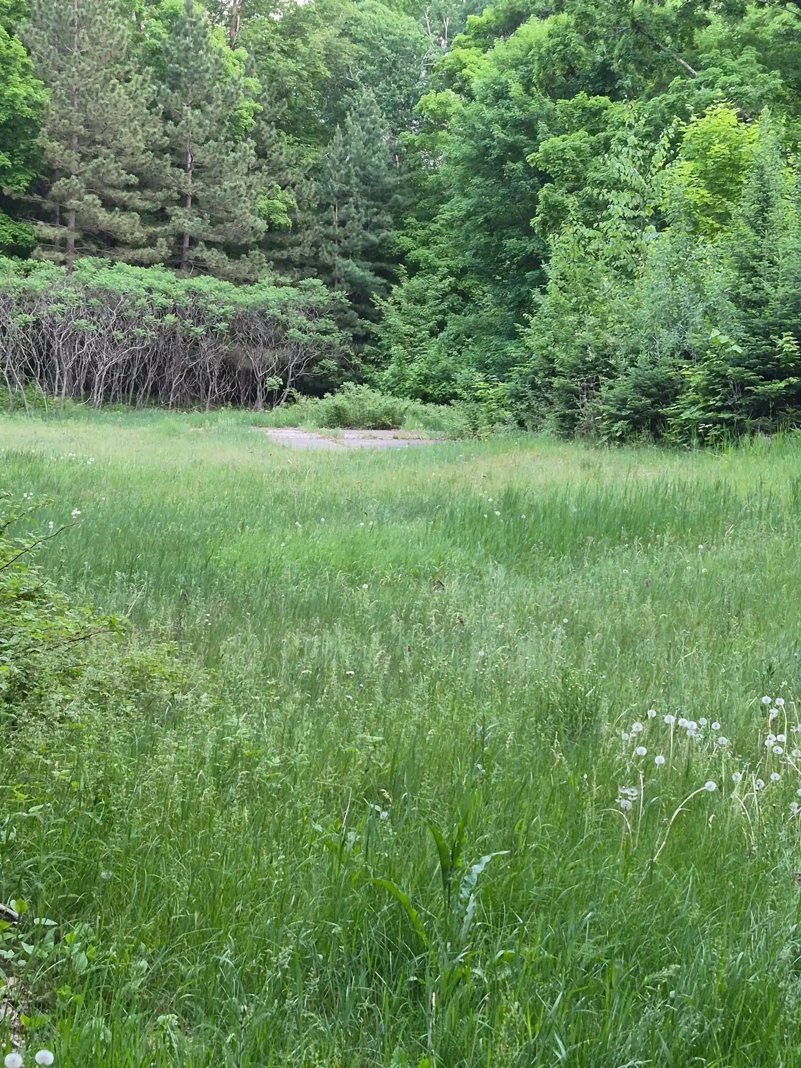 Image 1 Image 1