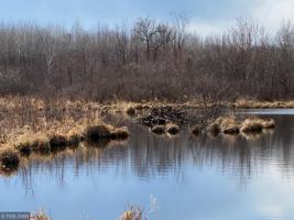 xx Little Sand Creek Rd