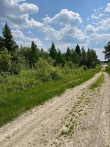 TBD Highway 53