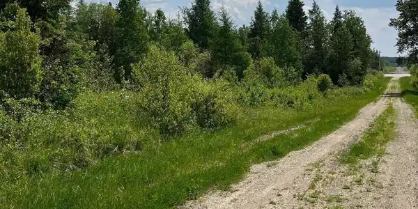 TBD Highway 53