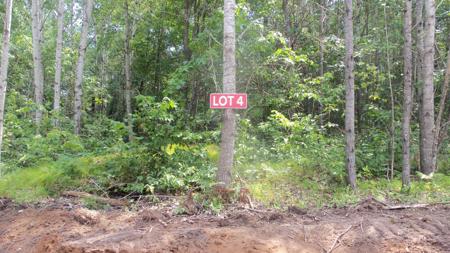 Lot 4 Birch Tree Trl