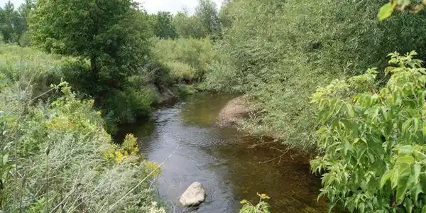 47xxx Tadpole Road