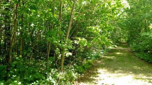 lot 1 BLK 11 Isle Harbor Drive