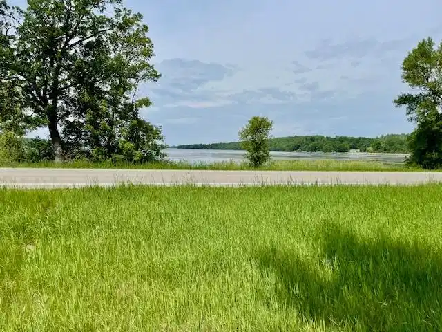 Image 1 Image 1