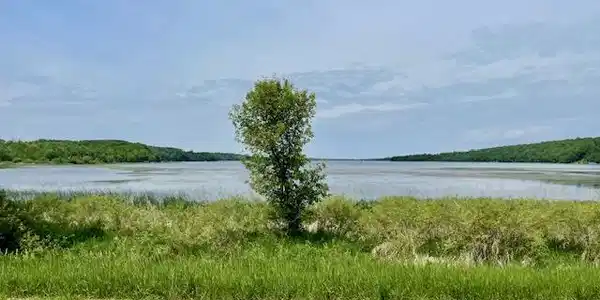 Image 3 Image 3