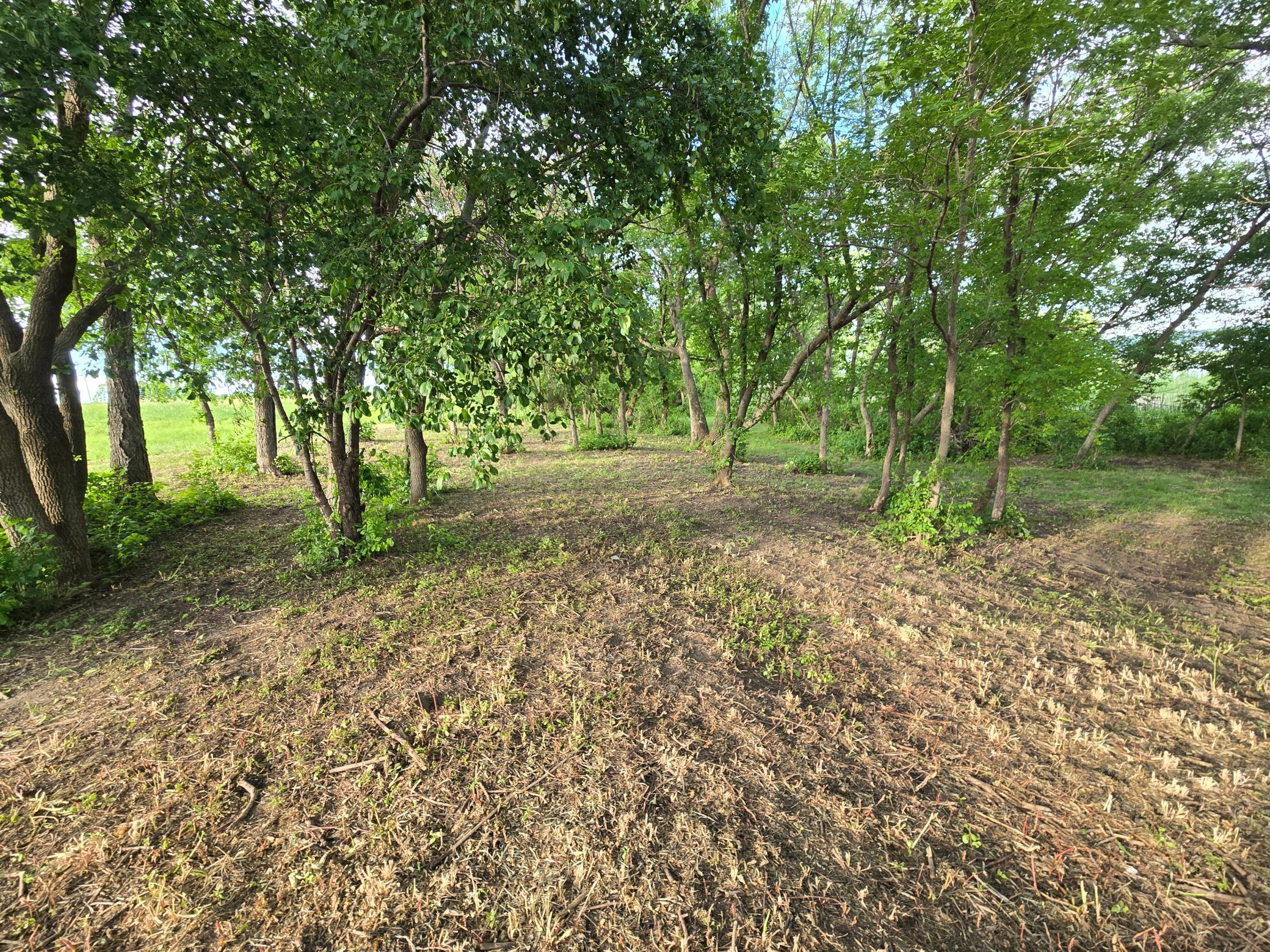 Image 4 Image 4