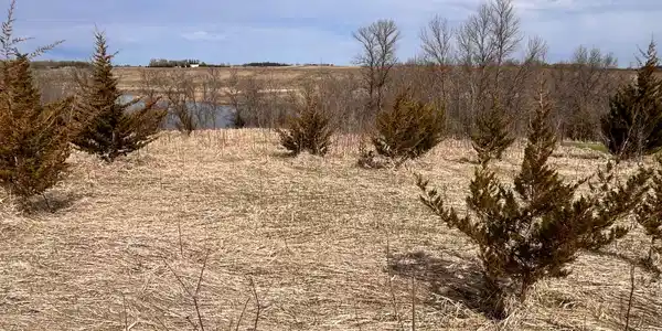 Lot 6 215th Street