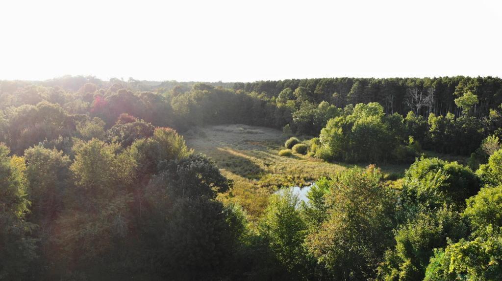 Image 4 Image 4