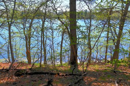 40039 County Rd 17