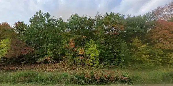 Image 2 Image 2