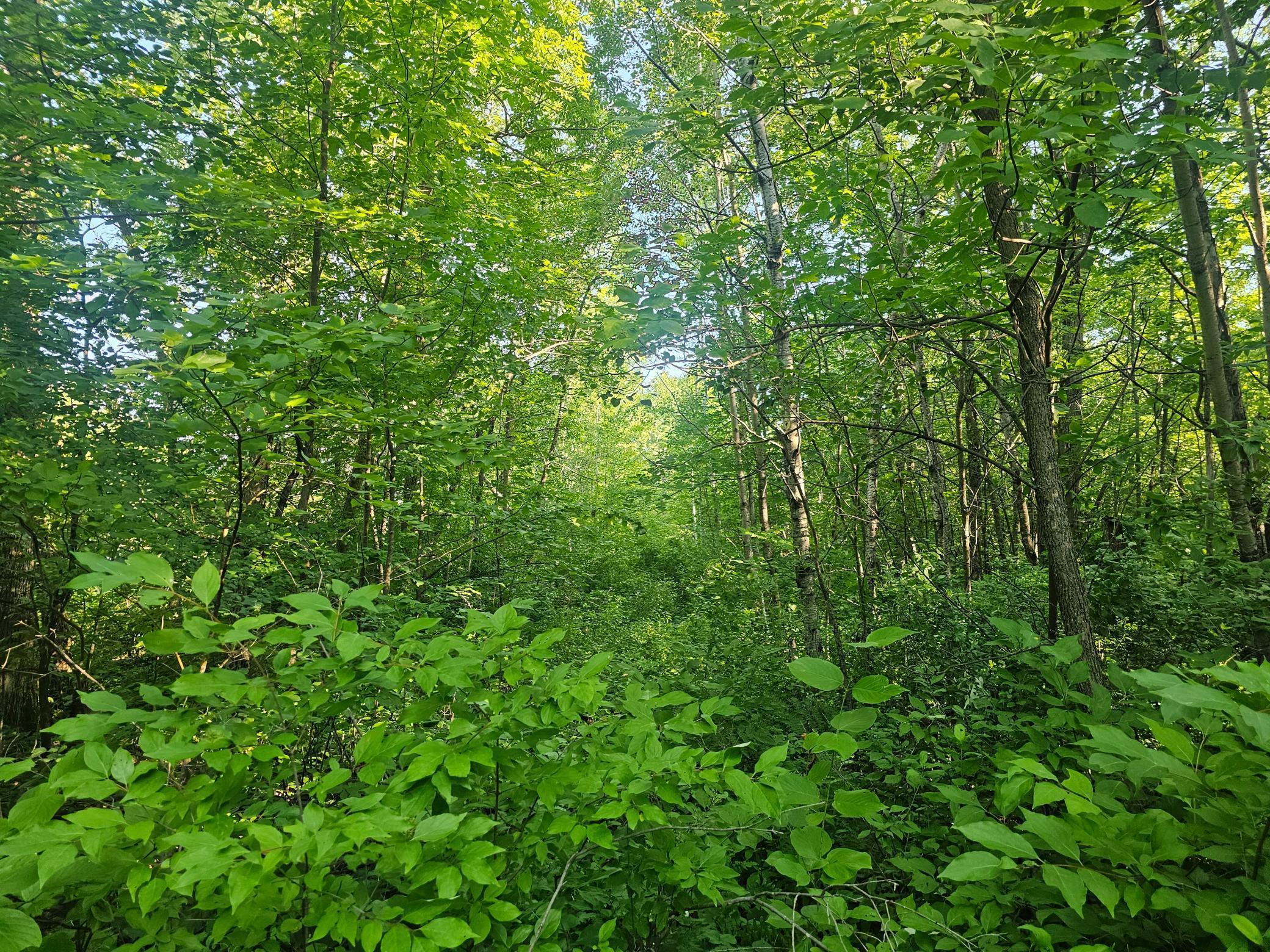 Image 2 Image 2