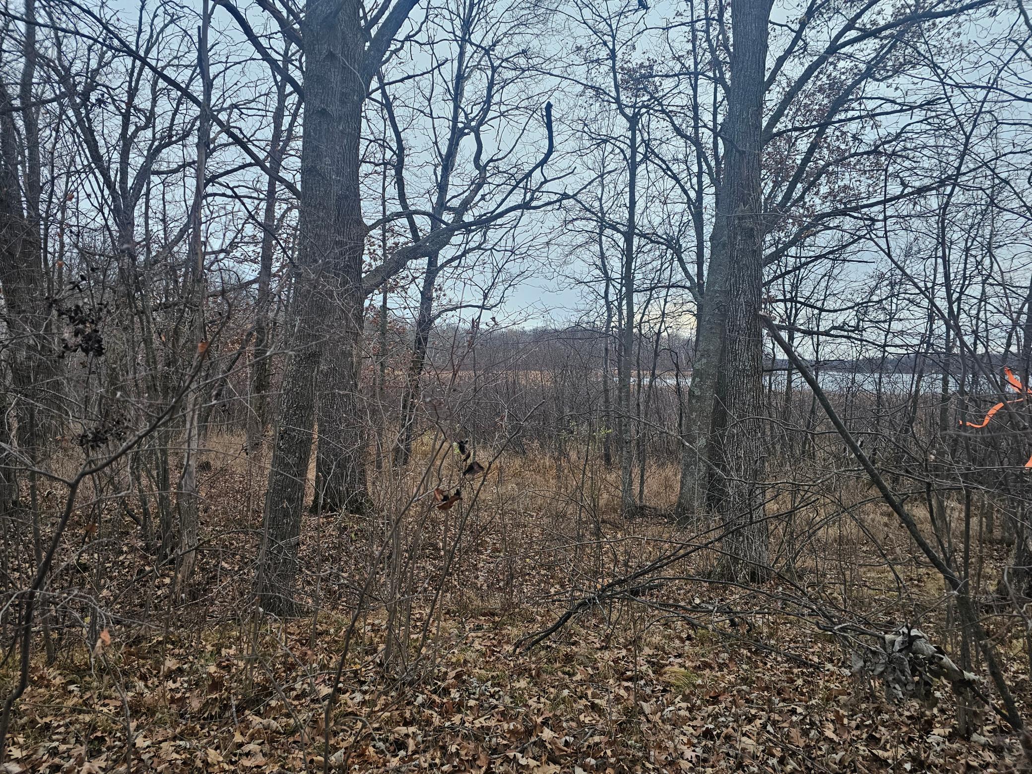 Image 4 Image 4