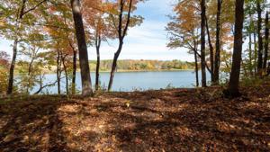 Lot 3 W Lake Olaf Road