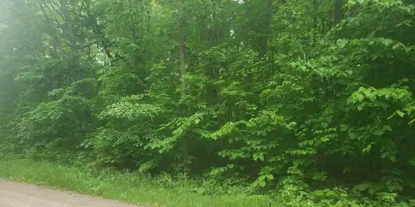 XXX Summit Rd