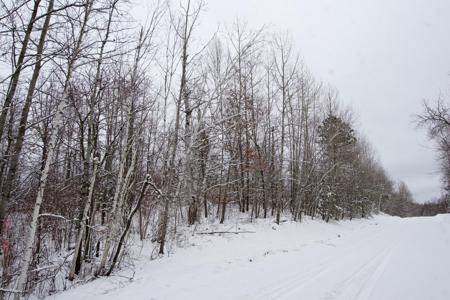 TBD Sheridan Woods Lane NE