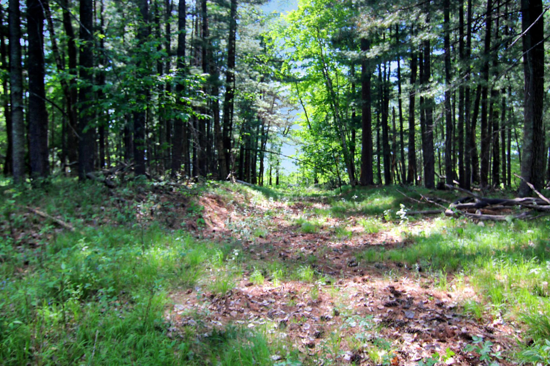 Image 3 Image 3