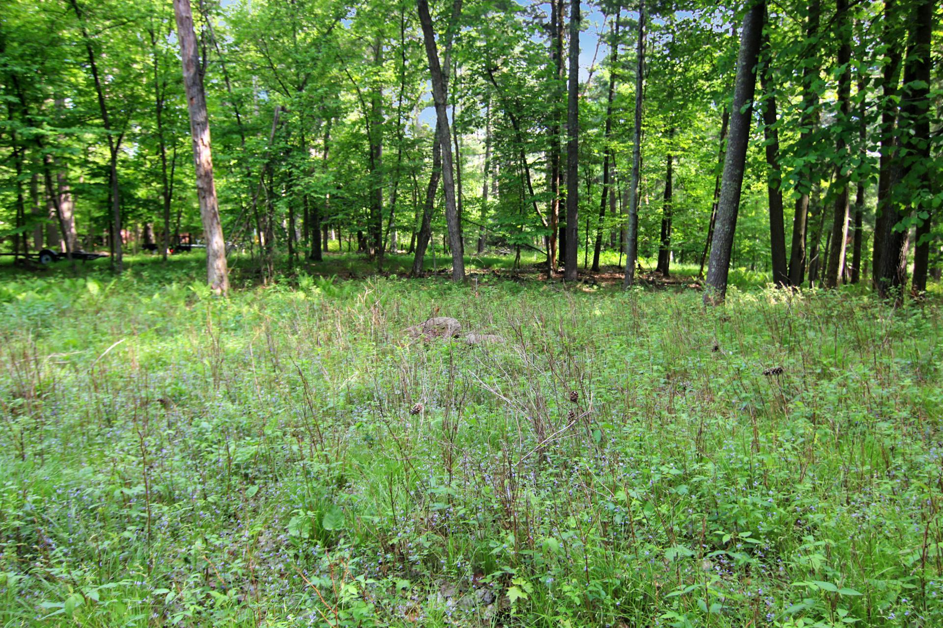 Image 4 Image 4